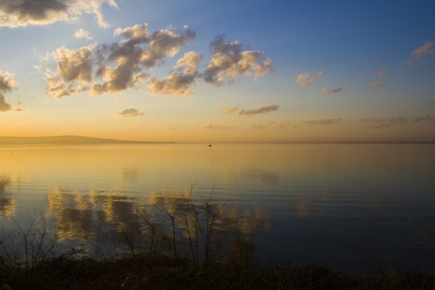 Photo by Evgeni Dinov, Lake Bourgas