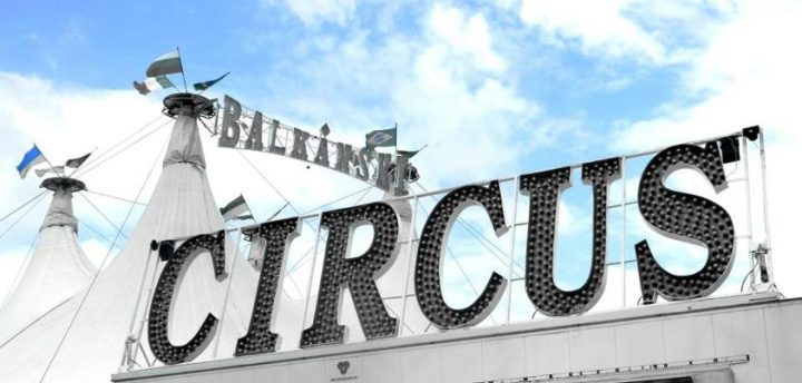cirk-13
